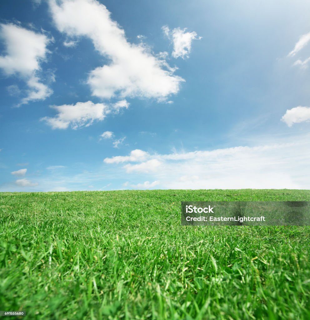 Glas grün blauer Himmel - Lizenzfrei Gras Stock-Foto