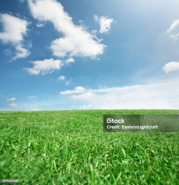 Glas Grün Blauer Himmel Stockfoto und mehr Bilder von Gras - Gras, Aufnahme von unten, Landschaft