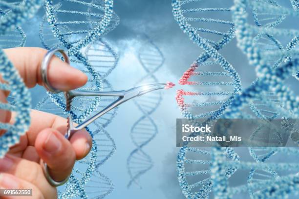 Mano Inserta Una Molécula De Adn Foto de stock y más banco de imágenes de ADN - ADN, Redactor, Cambio