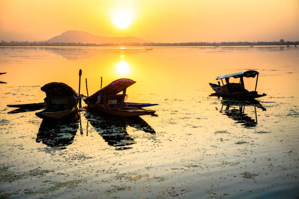 istock a tourist boat 691562674
