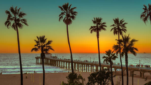 Sunset at Manhattan Beach and pier. Vintage processed. Palm trees on Manhattan Beach at sunset. Vintage processed. Fashion travel and tropical beach concept. southern california palm trees stock pictures, royalty-free photos & images
