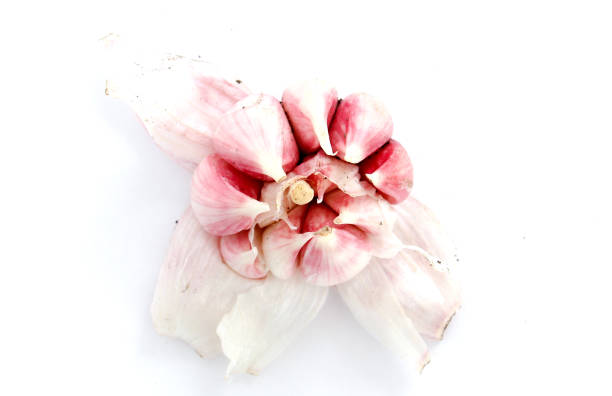 istock fresh planted young garlic cloves 691572628