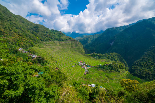 istock Batad Rice Terraces near Banaue, Philippines 691583508