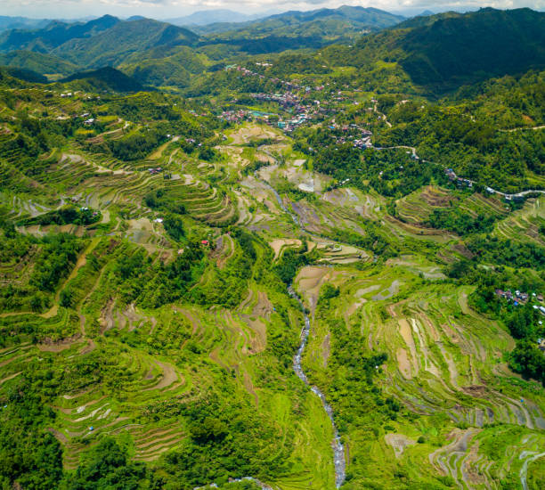 istock Banaue Rice Terraces, Philippines 691583510