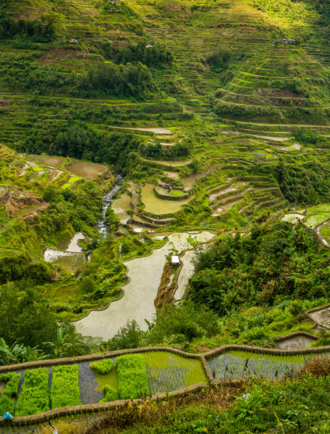 Banaue Rice Terraces, Philippines