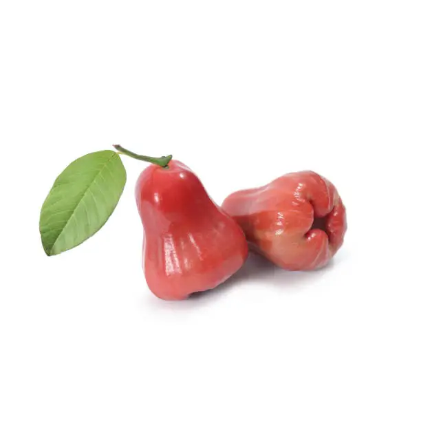 Tropical fruit ; Fresh roseapple isolated on white background