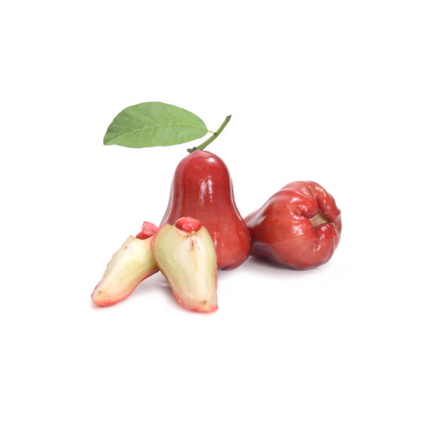 istock Tropical fruit ; Fresh roseapple isolated on white background 691587148