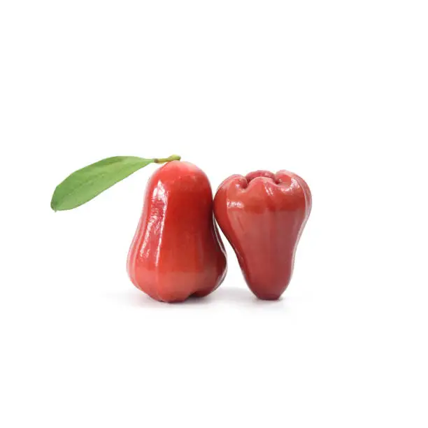 Tropical fruit ; Fresh roseapple isolated on white background