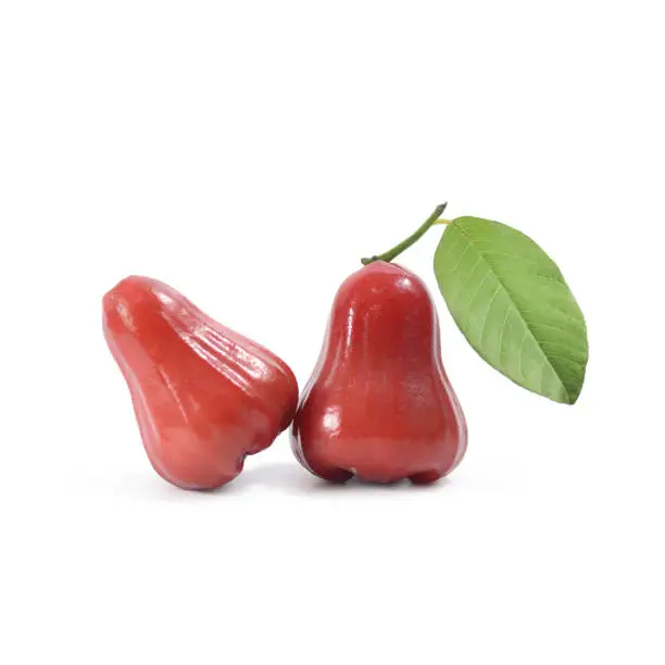 Tropical fruit ; Fresh roseapple isolated on white background