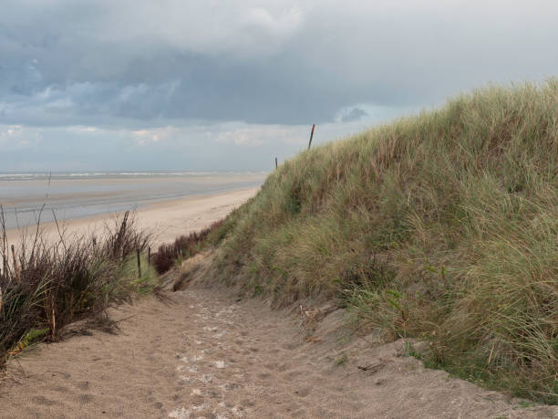 istock the island spiekeroog 691592696