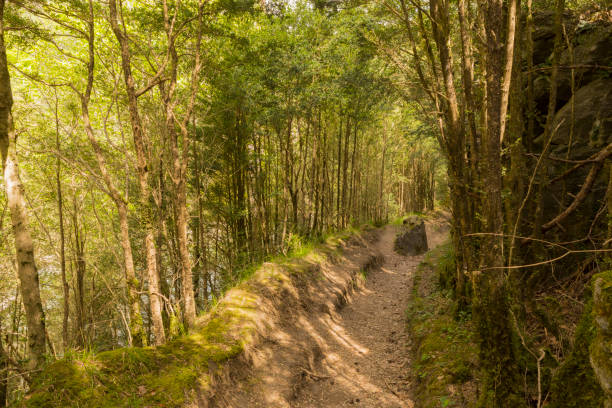 istock Hiking in torla ordesa, pyrenees of huesca 691599536
