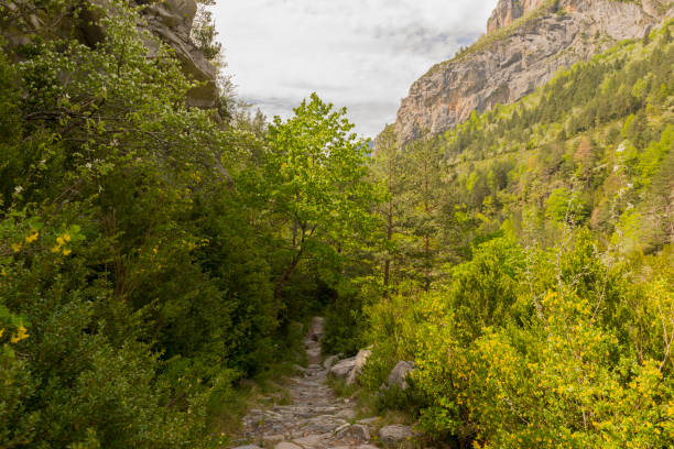istock Hiking in torla ordesa, pyrenees of huesca 691599578