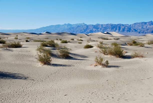 istock Death Valley National Park 691600298