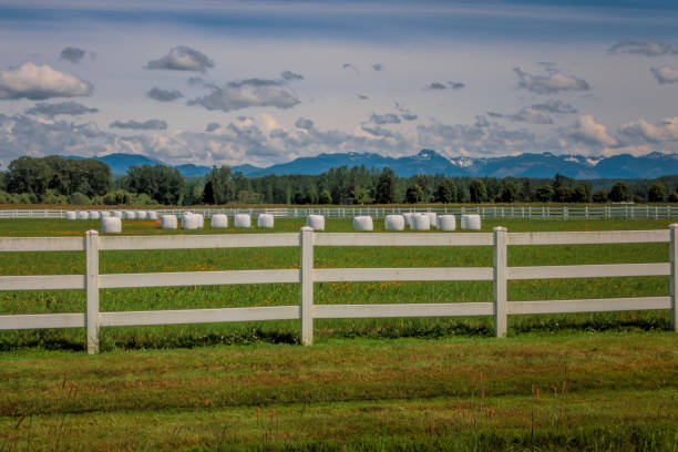 istock Bale Bags with White Fence and Mountain Background 691602978