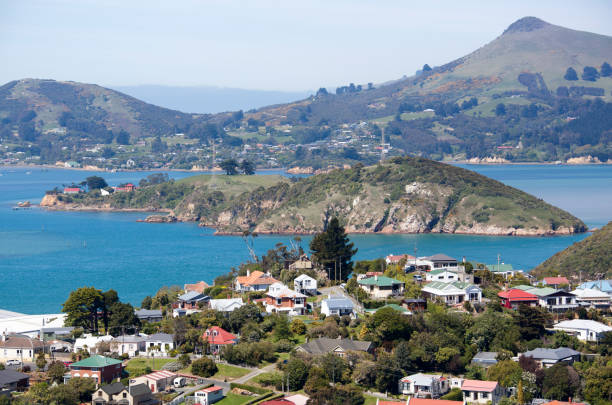 istock New Zealand's Suburb 691606840