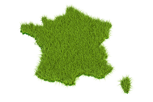 France map from green grass, 3D rendering isolated on white background