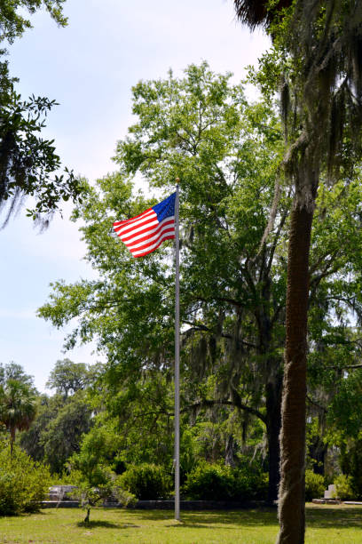 istock American Flag Flies Amid Trees 691609100