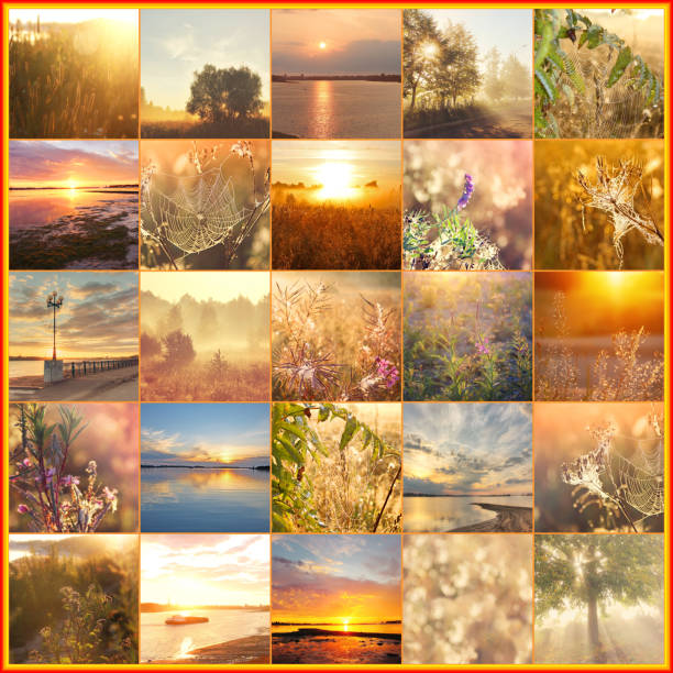 istock collage of summer sunsets and sunrises. 691626908