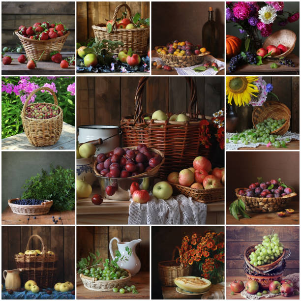 istock Collage from still lifes with fruit and berries in a basket. 691627056