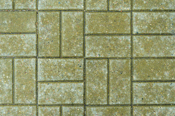 istock Green brick paving stones on a sidewalk 691641792
