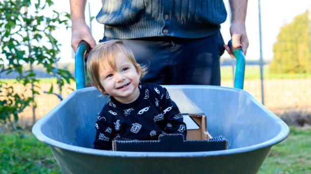 Small child in the wheelbarrow stock photo
