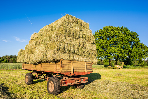 Trailer with hay bales