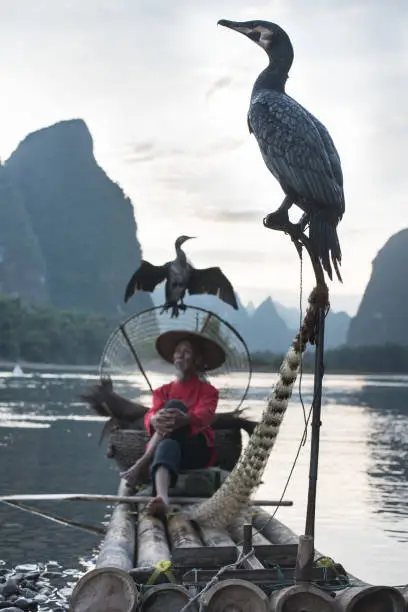 Photo of Fisherman of Yangshuo