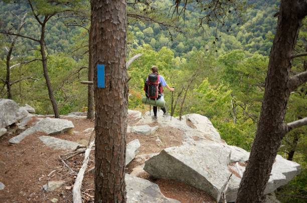 istock Girl with backpack at scenic overlook on trail 691656472