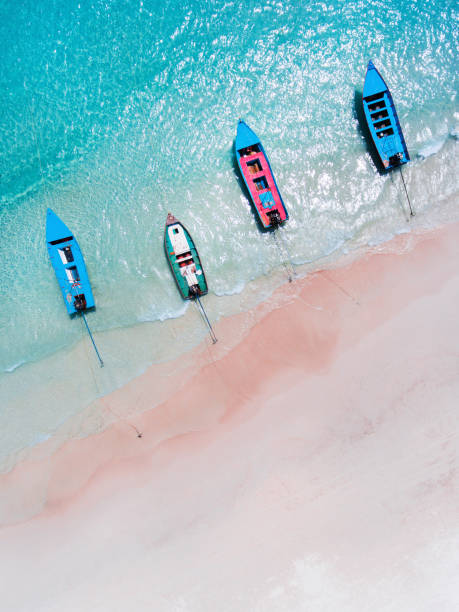 istock Paradise rose beach with boats 691659654