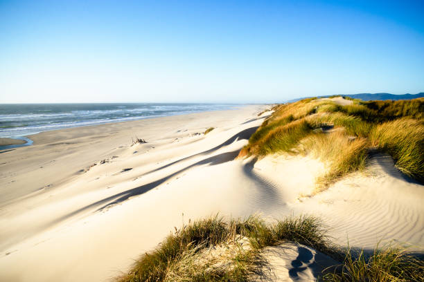 istock Golden Hour on the Oregon Coast. 691659676