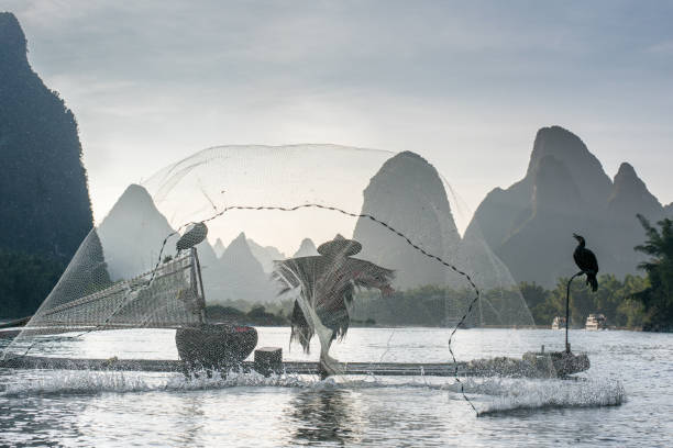 istock Fisherman of Li River 691665888