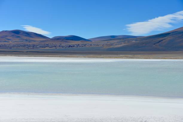 istock Atacama mountains and lake 691666056
