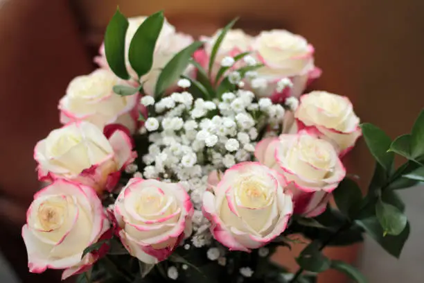 Beautiful bouquet of white roses with small amounts of red pink color the edges. Close-up floral arrangement of white pink roses, babys breath and leaves
