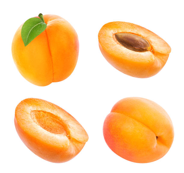 apricot isoliert auf weißem - aprikose stock-fotos und bilder