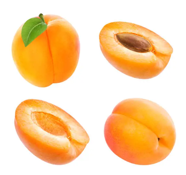 apricot isolated on white background