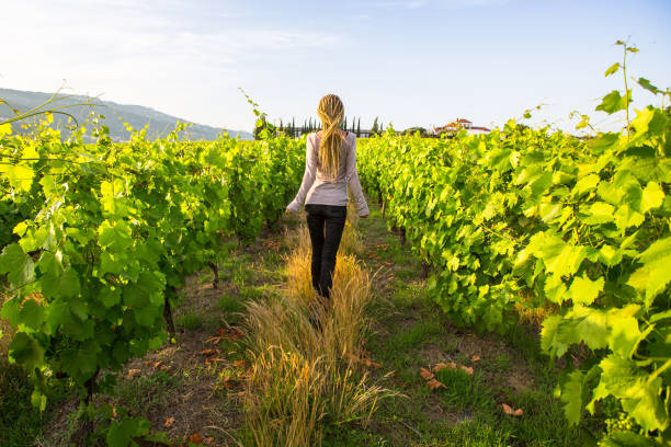 istock Gorgeous woman with blond dreadlocks have fun in the vineyards. 691672384