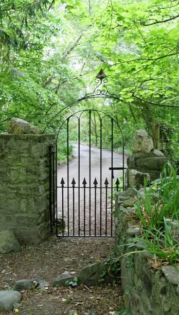 istock wrought iron gate leading to woodland 691672896
