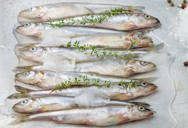 istock Fresh smelt for frying with spices. Small fish. Selective focus 691676340
