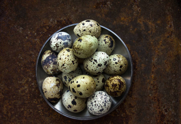 istock Quail eggs in a round aluminum bowl on a Rusty metal  old background 691678422