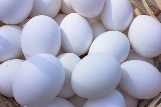 istock fresh eggs, Egg white, food, hen eggs, produce eggs 691678424