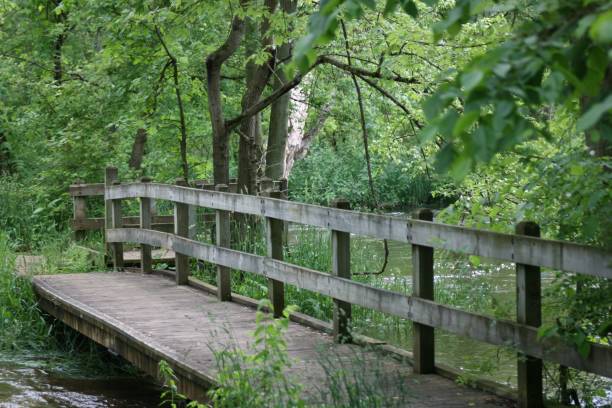 istock Wooden Bridge in the Forest 691679480