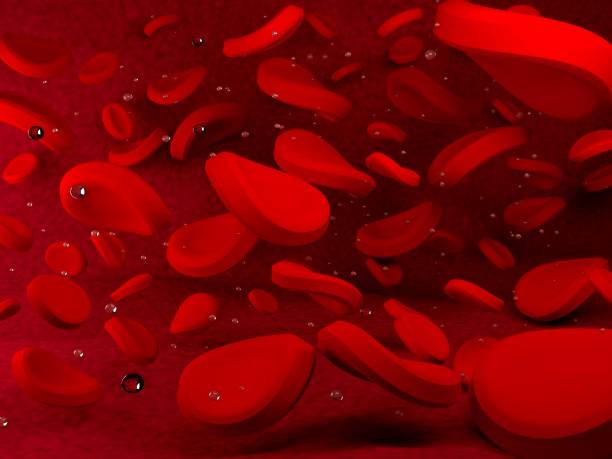 istock Illustrative images of red globules. 691679616