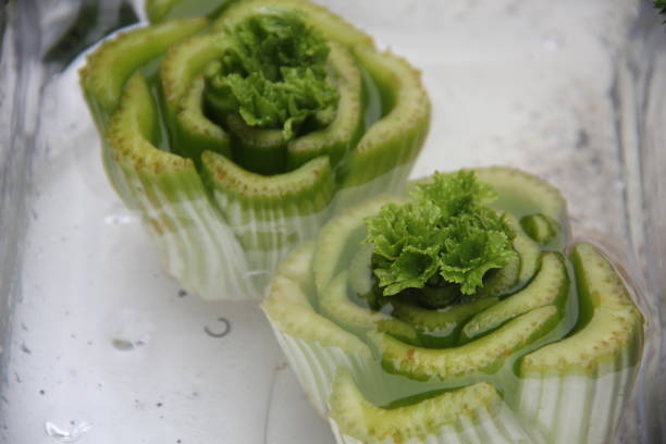 celery in a glass container with water