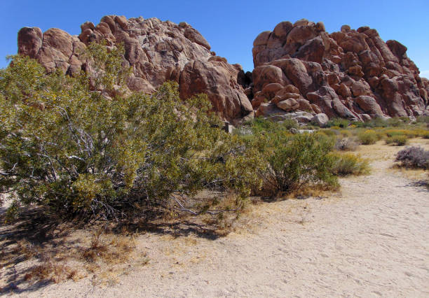 istock Rock Formations in the California Desert 691712980