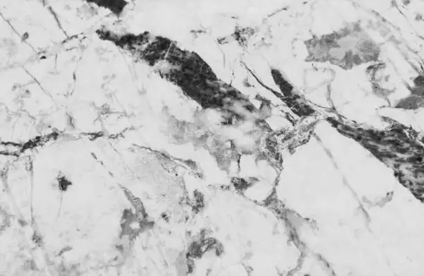 Photo of White gray marble texture with subtle grey veins