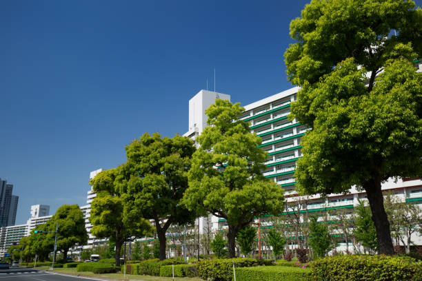 istock Fresh green apartment street 691719180