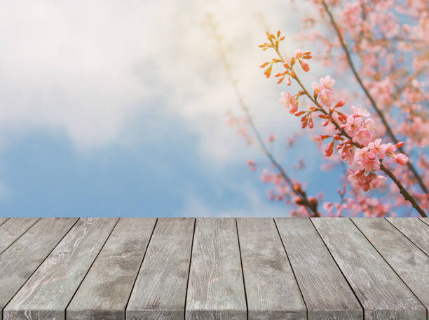 istock Empty old wooden table with Sakura flower and sunlight background. 691722028