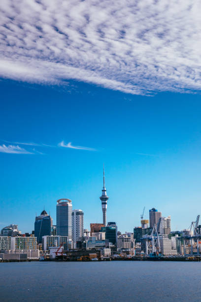 istock Auckland, New Zealand 691725896