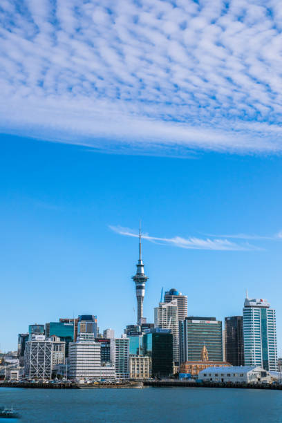 istock Auckland, New Zealand 691726308