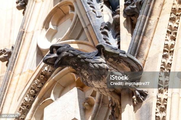 14 Jahrhundert St Vitus Cathedral Wasserspeier Stein Vogel Prag Tschechische Republik Stockfoto und mehr Bilder von Alt